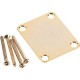 4-Bolt Vintage Neck Plate Plain 0991447200