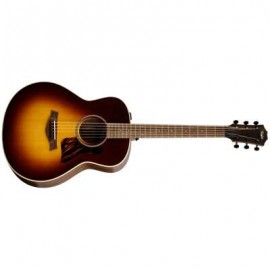 AD11e-SB,Walnut/Spruce,TSB Top