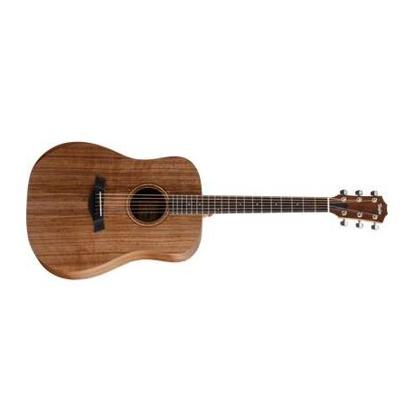 Taylor Academy 20e